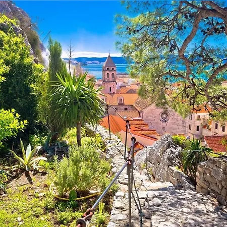 Borzic Omis