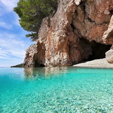 Borzic Omis
