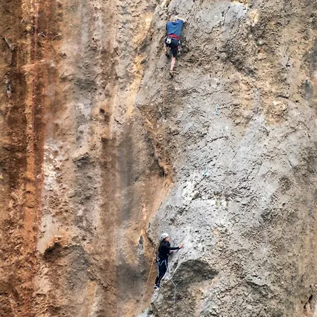 Borzic Omis