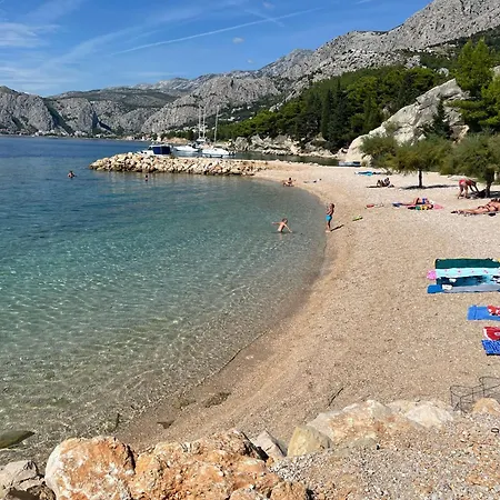 Borzic * Omis